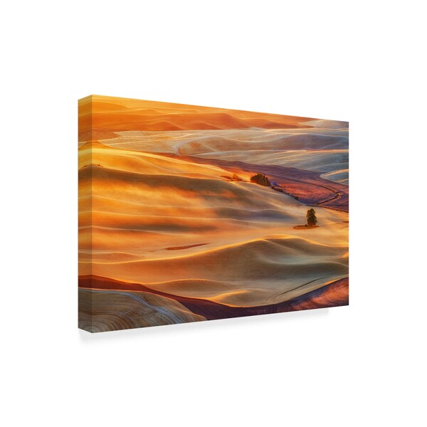 Lydia Jacobs 'Golden Palouse' Canvas Art,22x32